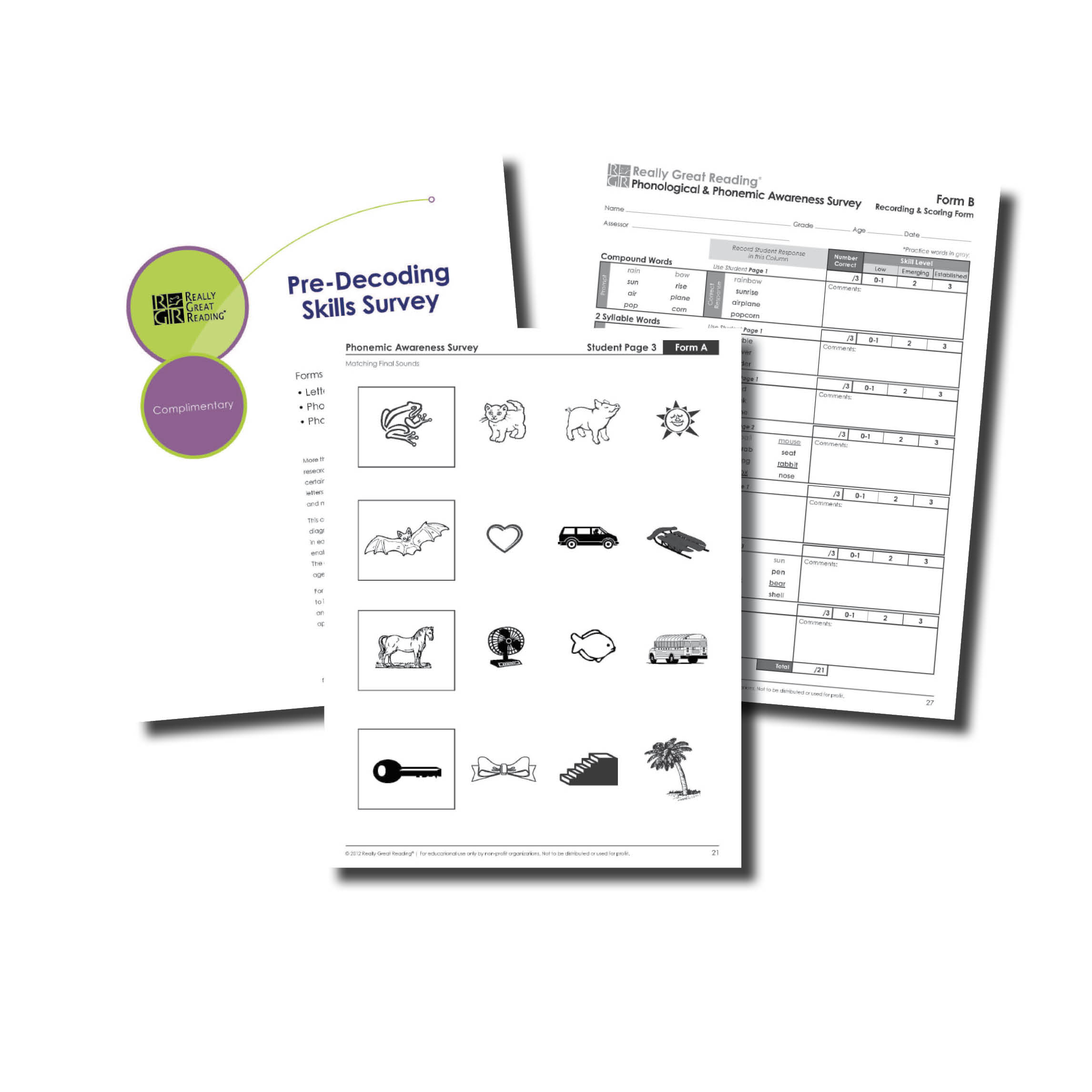 Diagnostic Decoding Surveys - Beginning And Advanced | Really Great - Free Printable Diagnostic Reading Assessments