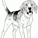 Dog Color Pages Printable | Dog Breed Coloring Pages | Dog Pic | Dog   Free Printable Dog Coloring Pages