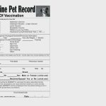 Dog Vaccination Chart Printable   Www.essaywritesystem   Free Printable Dog Shot Records