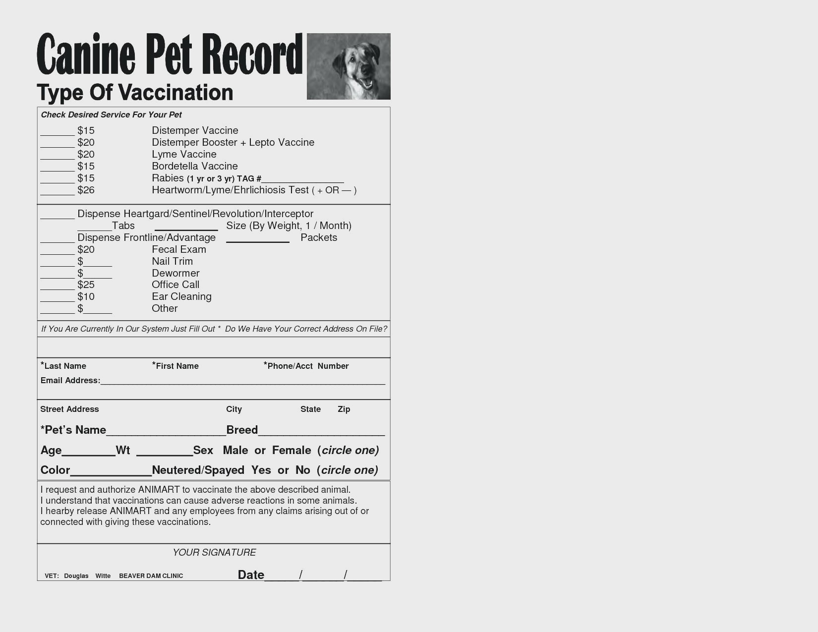Dog Vaccination Chart Printable - Www.essaywritesystem - Free Printable Dog Shot Records