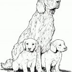 Dogs Coloring Pages | Free Coloring Pages   Colouring Pages Dogs Free Printable