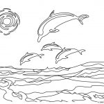 Dolphins For Children   Dolphins Kids Coloring Pages   Dolphin Coloring Sheets Free Printable