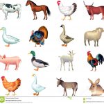 Domestic Animals Clipart Free Collection   Free Printable Farm Animal Clipart