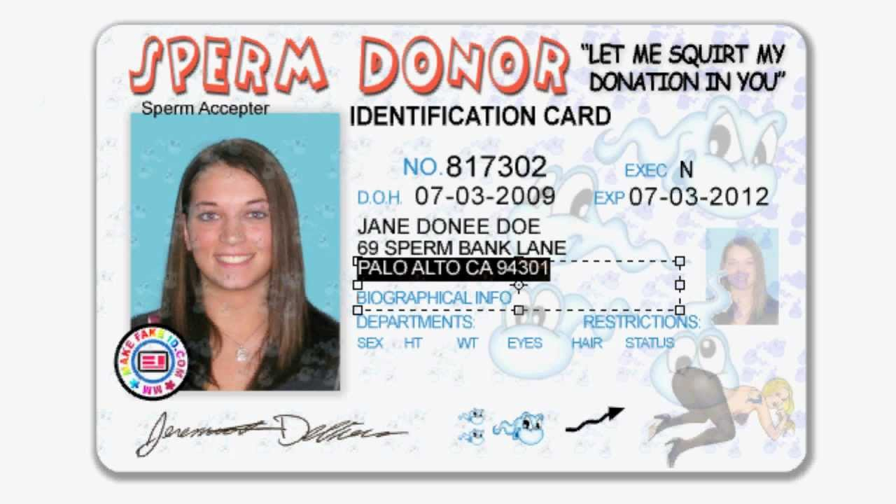 aamva driver license format