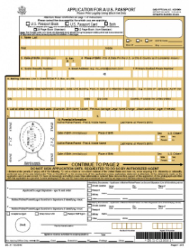 Ds11 Online Application Form For A New Passport Passports And Free