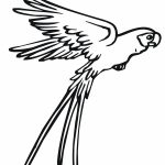 √ Free Printable Parrot Coloring Pages For Kids   Free Printable Parrot Coloring Pages