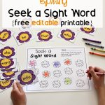 Editable Spring Sight Word Game   The Letters Of Literacy   Free Printable Flower Letters