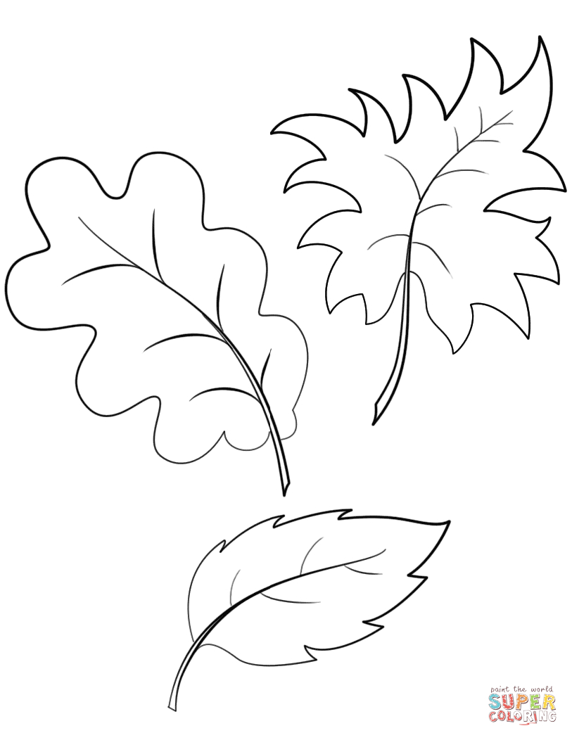 Fall Autumn Leaves Coloring Page | Free Printable Coloring Pages - Free Printable Leaves