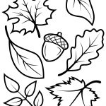 Fall Leaves And Acorn Coloring Page | Free Printable Coloring Pages   Free Printable Autumn Coloring Sheets