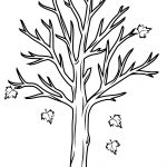 Fall Tree Coloring Page | Free Printable Coloring Pages   Tree Coloring Pages Free Printable