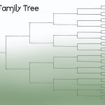 Family Tree Template Resources   Free Printable Family Tree Charts