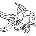 Fish Coloring Pages Free Printable | Coloring Pages   Free Printable Fish Coloring Pages