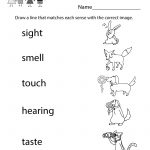 Five Senses Worksheet   Free Kindergarten Learning Worksheet For Kids   Free Printable Worksheets For Kids Science