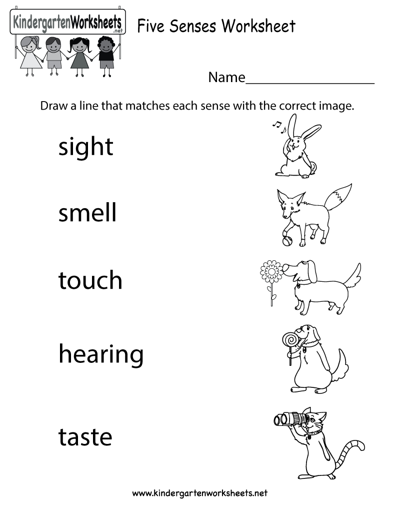 Five Senses Worksheet - Free Kindergarten Learning Worksheet For Kids - Free Printable Worksheets For Kids Science