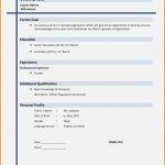 Five Things About | Invoice And Resume Template Ideas   Free Printable Resume Builder