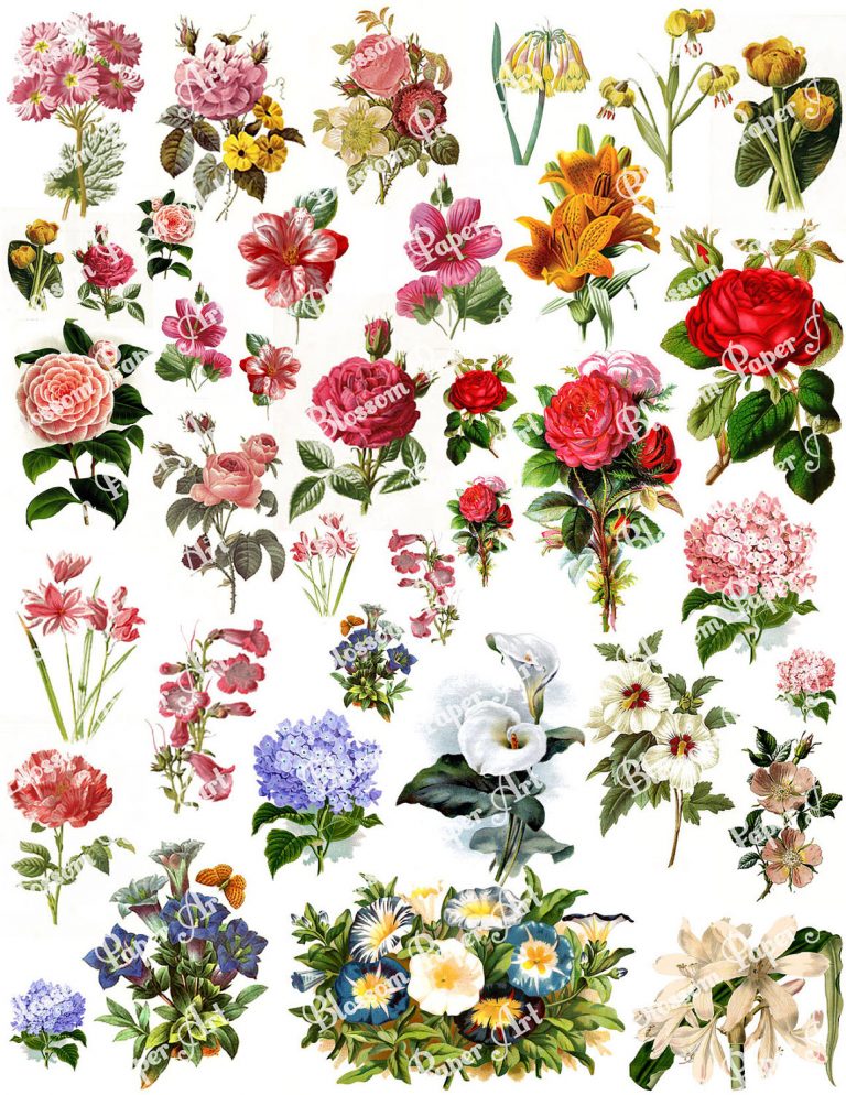 Flowers Collage Sheet Digital Scrapbook Scrapbooking Etsy Free Printable Decoupage Flowers