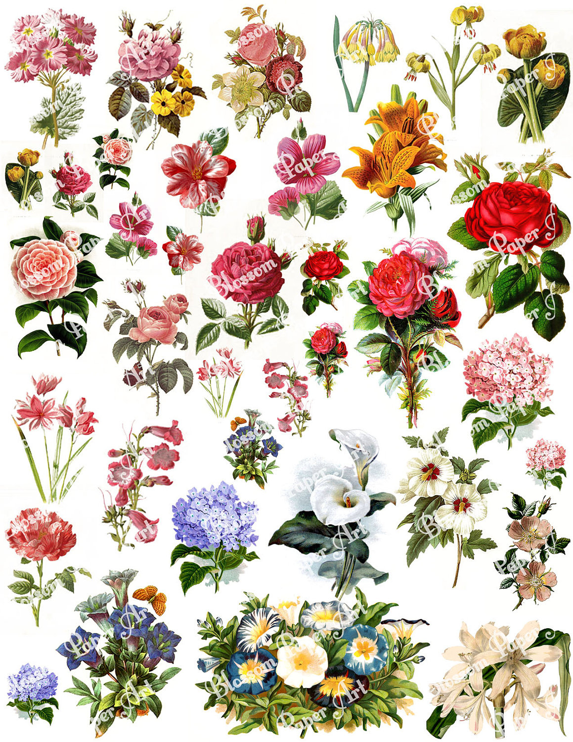 Flowers Collage Sheet Digital Scrapbook Scrapbooking | Etsy - Free Printable Decoupage Flowers