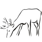 Free Animal Outlines, Download Free Clip Art, Free Clip Art On   Free Printable Arty Animal Outlines