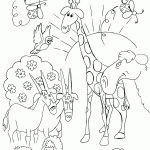 Free Bible Creation Coloring Pages | Creation Printables   Free Printable Sunday School Coloring Sheets