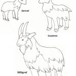Free Billy Goats Gruff Colour, Download Free Clip Art, Free Clip Art   Three Billy Goats Gruff Masks Printable Free