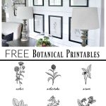 Free Botanical Prints | Bloggers' Best Diy Ideas | Diy Wall Art   Free Printable Artwork