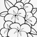 Free Coloring Pages | Free Flower Coloring Pages | Coloring Pages   Free Printable Flower Coloring Pages