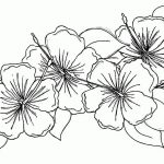Free Coloring Pages Of Hibiscus Flowers   Coloring Home   Free Printable Hibiscus Coloring Pages