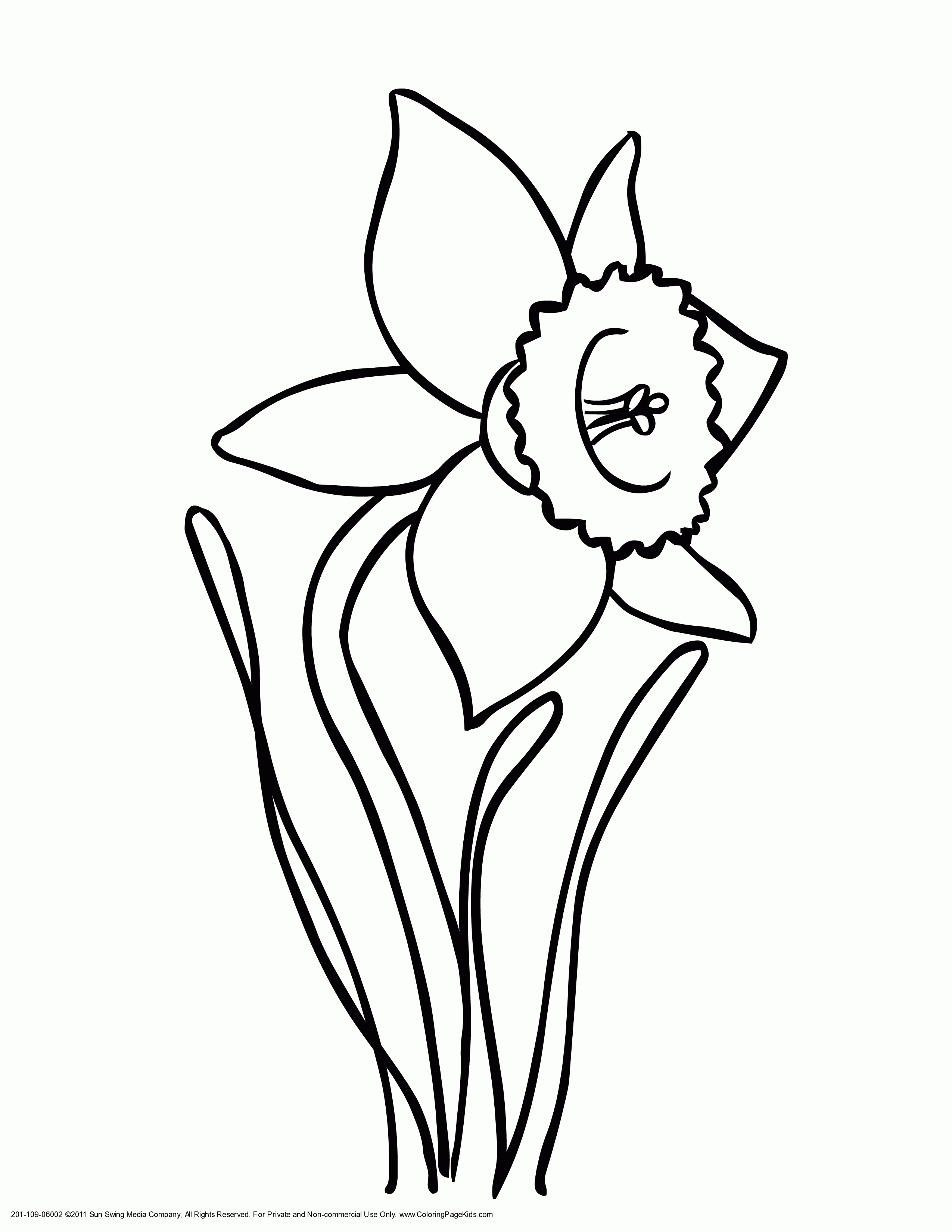Free Drawings Of Daffodils, Download Free Clip Art, Free Clip Art On - Free Printable Pictures Of Daffodils