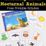Free Nocturnal Animals Printables | Kindergarten | Nocturnal Animals   Free Printable Animal Classification Cards