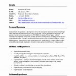 Free Online Resume Builder Printable Professional Template   Free Online Resume Templates Printable