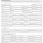 Free Order Form Template Word Free Printable Business Forms   Free Printable Forms For Organizing