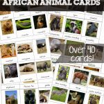 Free Printable African Animal Cards   Welcome To Mommyhood   Free Printable Animal Cards