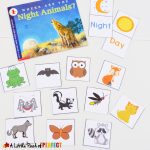 Free Printable Animal Classification Cards | Free Printable   Free Printable Animal Classification Cards