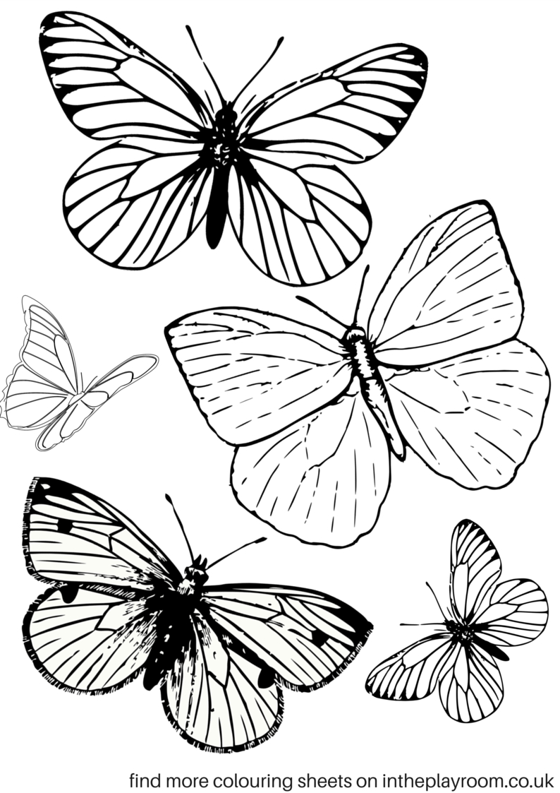 Free Printable Butterfly Colouring Pages | Coloring Tutorials - Free Printable Butterfly Pictures