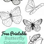 Free Printable Butterfly Colouring Pages   In The Playroom   Free Printable Butterfly