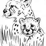 Free Printable Cheetah Coloring Pages For Kids | Coloriage Pour Les   Free Printable Cheetah Pictures