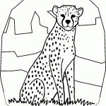 Free Printable Cheetah Coloring Pages For Kids   Coloring Home   Free Printable Cheetah Pictures