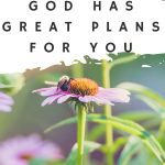 Free Printable Christian Cards For All Occasions   Free Printable Christian Cards Online