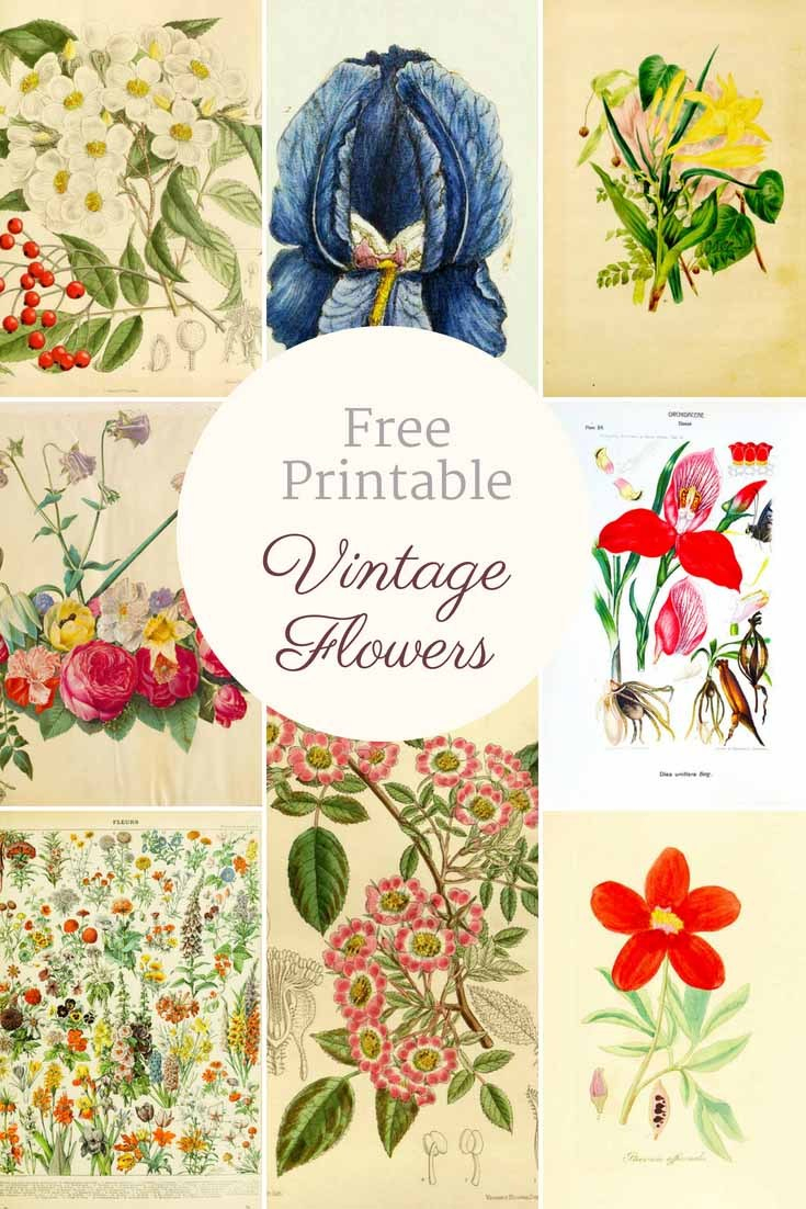 Free Printable Decoupage Flowers | Download Them And Try To Solve - Free Printable Decoupage Flowers