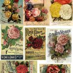 Free Printable Decoupage Papers | Decoupage Paper Collage Sheets   Free Printable Decoupage Flowers
