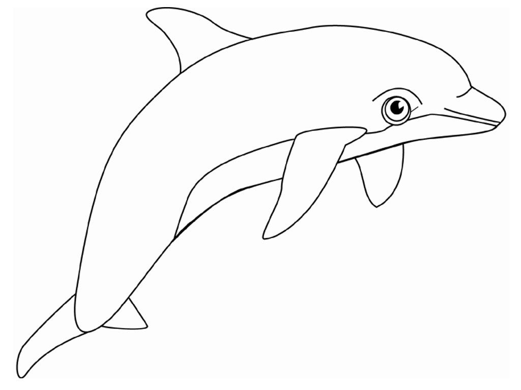 Free Printable Dolphin Coloring Pages For Kids | Dolphin | Dolphin - Dolphin Coloring Sheets Free Printable