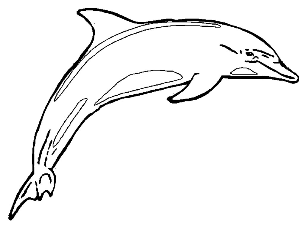 Free Printable Dolphin Pictures, Download Free Clip Art, Free Clip - Dolphin Coloring Sheets Free Printable