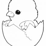 Free Printable Easter Baby Chick Coloring Pages With Chicken Print   Free Printable Easter Baby Chick Coloring Pages