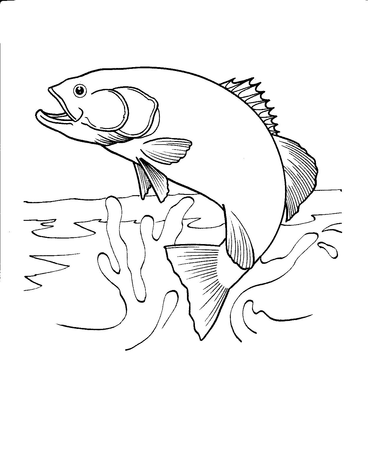 Free Printable Fish Coloring Pages For Kids | Honey Look | Fish - Free Printable Fish Coloring Pages