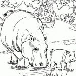 Free Printable Hippo Coloring Pages For Kids | Animals | Pinterest   Free Printable Hippo Coloring Pages