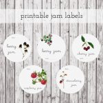 Free Printable Jam Labels The Graphics Fairy. Mason Jar Label   Free Printable Jam Labels