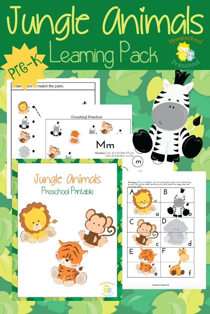 Free Printable Jungle Animals Activities For Preschoolers - Free Printable Early Childhood Activities