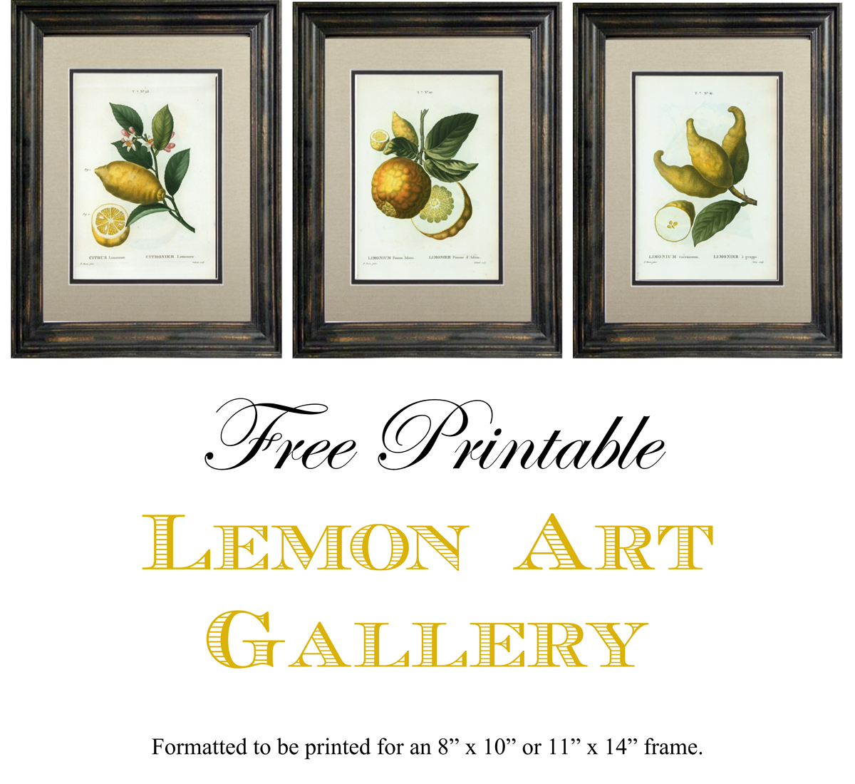 Free Printable Lemon Art - Free Printable Artwork To Frame