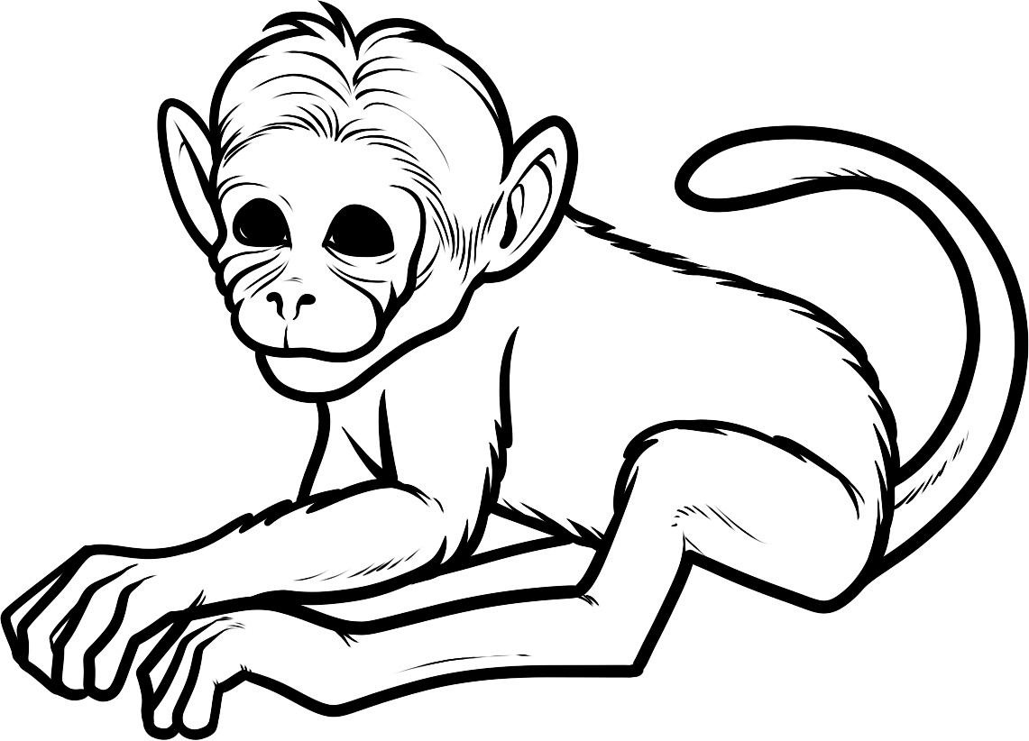 Free Printable Monkey Coloring Pages For Kids Coloring Book - Free Printabl...