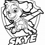 Free Printable Paw Patrol Coloring Pages Luxury Sky Entrancing 18   Free Printable Paw Patrol Coloring Pages